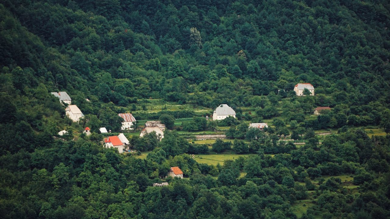 Yllka Gaxhaj