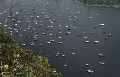 High angle view of yachts
