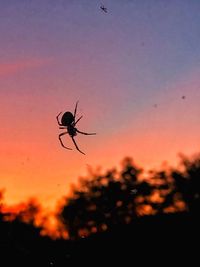 Silhouette of spider against sky during sunset