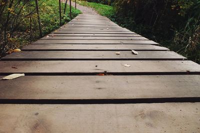 Surface level of boardwalk along trees