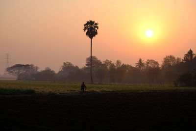 Silhouette person on field against sky during sunset