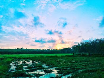 Scenic view of field against sky during sunset