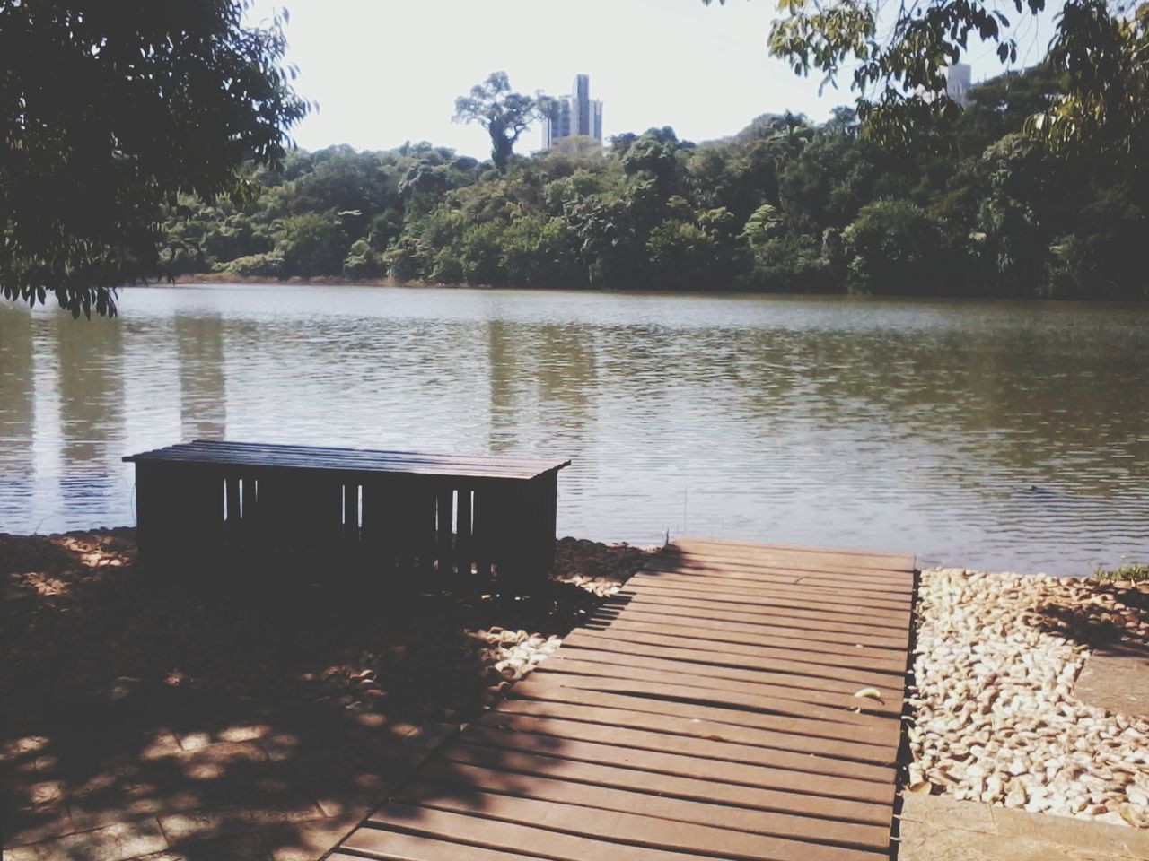 water, tree, lake, tranquil scene, tranquility, wood - material, pier, scenics, nature, wood, jetty, clear sky, beauty in nature, empty, wooden, boardwalk, absence, bench, sky, day