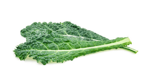 Close-up of green leaf against white background