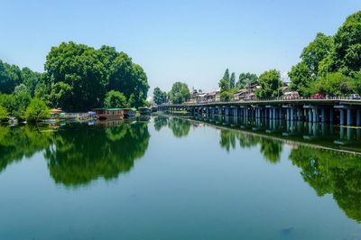 Reflection of trees in river