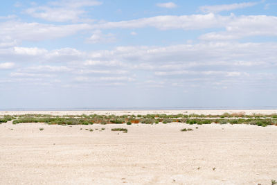 Scenic view of beach against sky
