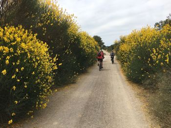 Rear view of man walking on road