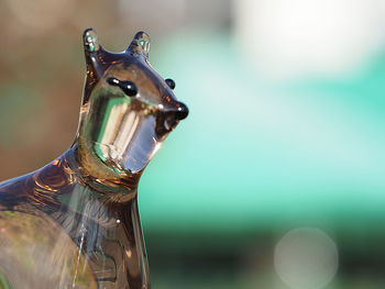 Close-up of dragon glass bottle