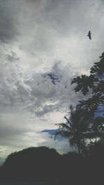 Low angle view of silhouette birds flying against sky