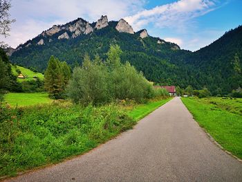 Road amidst green landscape against sky