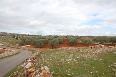 Scenic view of landscape against sky