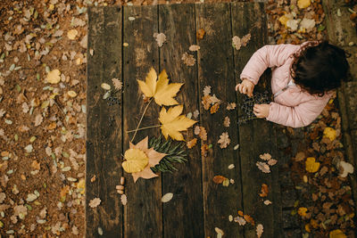 High angle view of maple leaf on autumn leaves