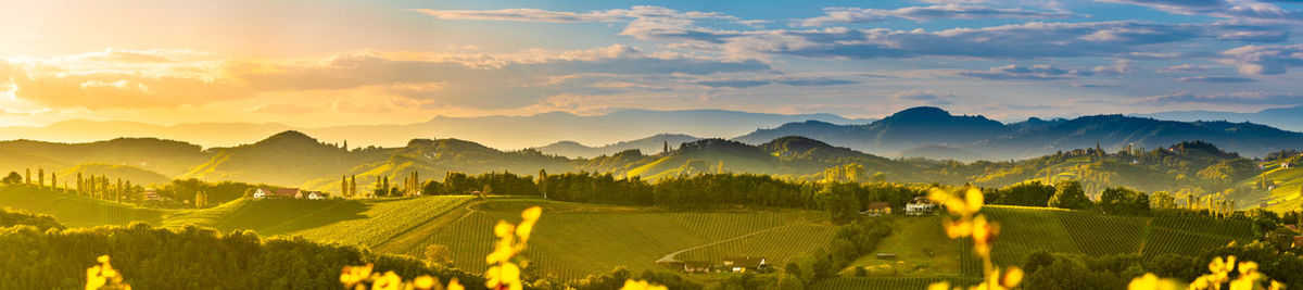 Panoramic view of field against sky during sunset