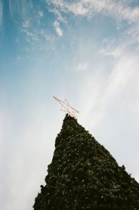 Low angle view of tree against sky