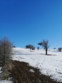 Snow covered field against clear blue sky