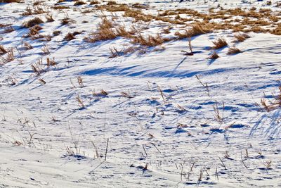 High angle view of snow covered field