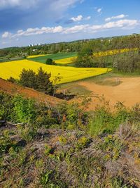 Scenic view of field against sky