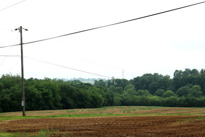 Scenic view of field against clear sky