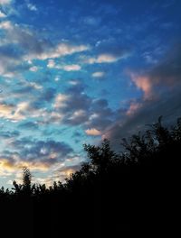 Silhouette of trees at sunset