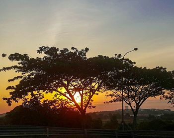 Silhouette trees against sky during sunset