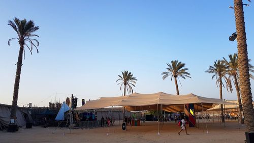 People by palm trees against clear sky