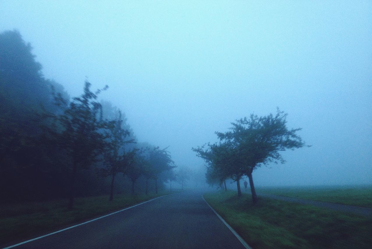 the way forward, road, tree, transportation, fog, diminishing perspective, tranquility, copy space, tranquil scene, country road, foggy, vanishing point, empty road, nature, road marking, sky, landscape, scenics, empty