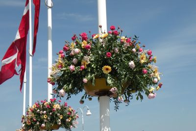 Low angle view of christmas tree against sky