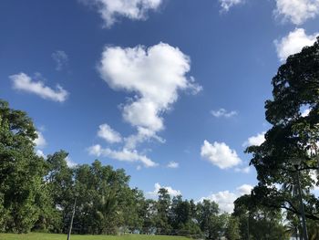 Low angle view of trees against sky