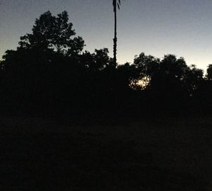 Low angle view of silhouette trees against sky