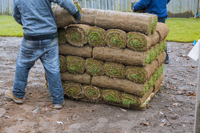 Low section of man stacking turf outdoors