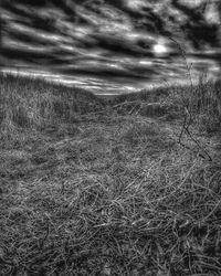 Scenic view of land against sky