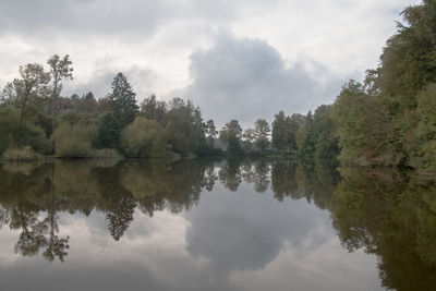 Reflection of trees in calm lake