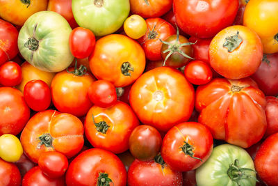Organic assorted tomatoes background. food backdrop