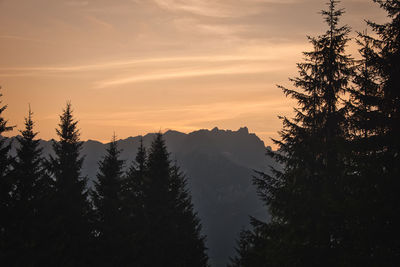 Silhouette trees against sky during sunset