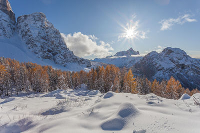 Orange larch forest winter panorama with the sun over the top of mount civetta, dolomites, italy