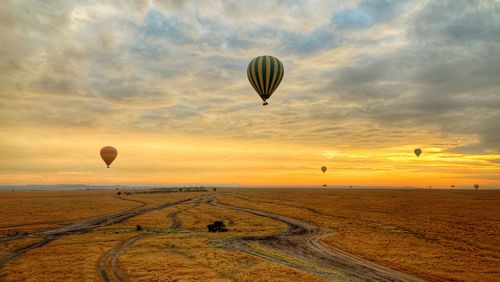 Hot air balloons flying over field against cloudy sky during sunset