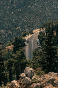 High angle view of road amidst trees