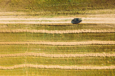 Scenic view of agricultural field