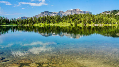 Scenic view of lake by trees against sky