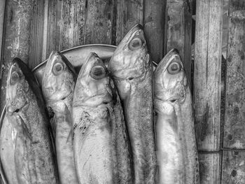 Close-up of fish sculpture on wood