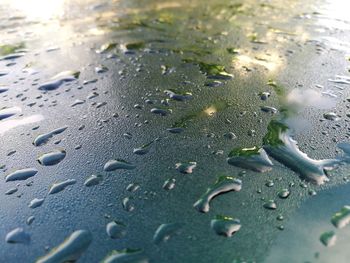 Full frame shot of wet glass window