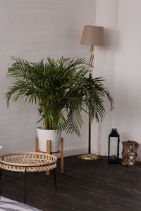 Potted plant on table against wall