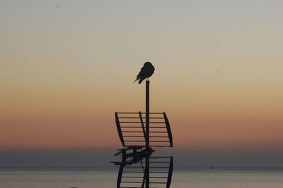 Silhouette bird on sea against sky during sunset