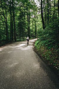 Woman riding her roadbike on road in forest in the austrian alps