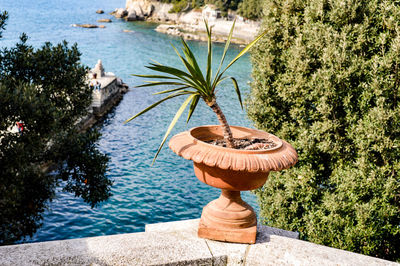 High angle view of potted plant on retaining wall against sea
