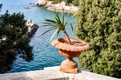 View of palm tree on beach