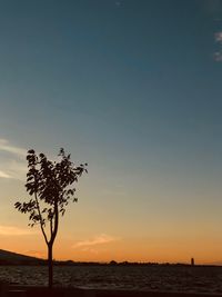 Silhouette tree by sea against sky during sunset