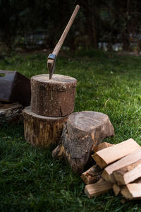 Close-up of log on tree stump