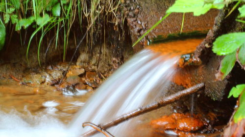 Water flowing through rocks in forest