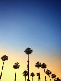 Low angle view of coconut palm trees against blue sky